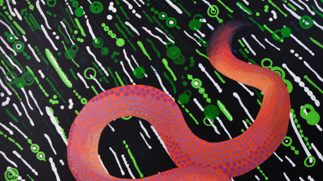 Psychodelic Worms /Gusanos psicodélicos