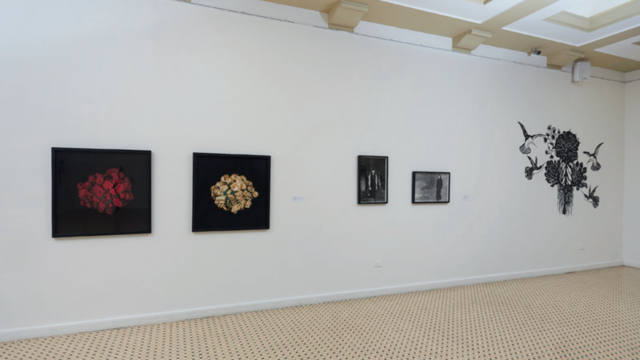Catálogo de la exposición Iconografías femeninas por Germán Toloza 2018
